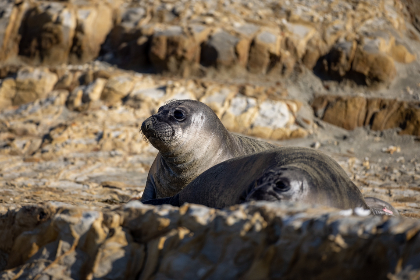深入探讨港彩平台的市场现状与未来发展趋势