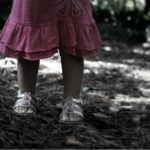 556开奖前后出现的神秘规律大揭秘 drsxm0x4h