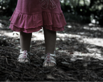 556开奖前后出现的神秘规律大揭秘