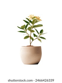 566最新开奖结果今日已公布速来查看