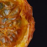 5555jk开奖结果最新公布,精准预测中奖号码 hsakdk