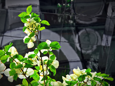 深入解析UED平台在企业级产品中的用户体验设计与交互优化