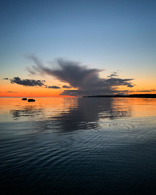 55993开奖结果查询与最新开奖信息公布