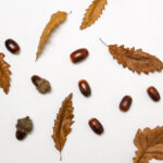 kj268开奖结果最新公布,速看本期幸运号码 jd8cs62fv